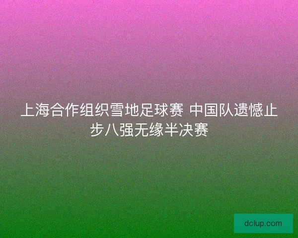 上海合作组织雪地足球赛 中国队遗憾止步八强无缘半决赛